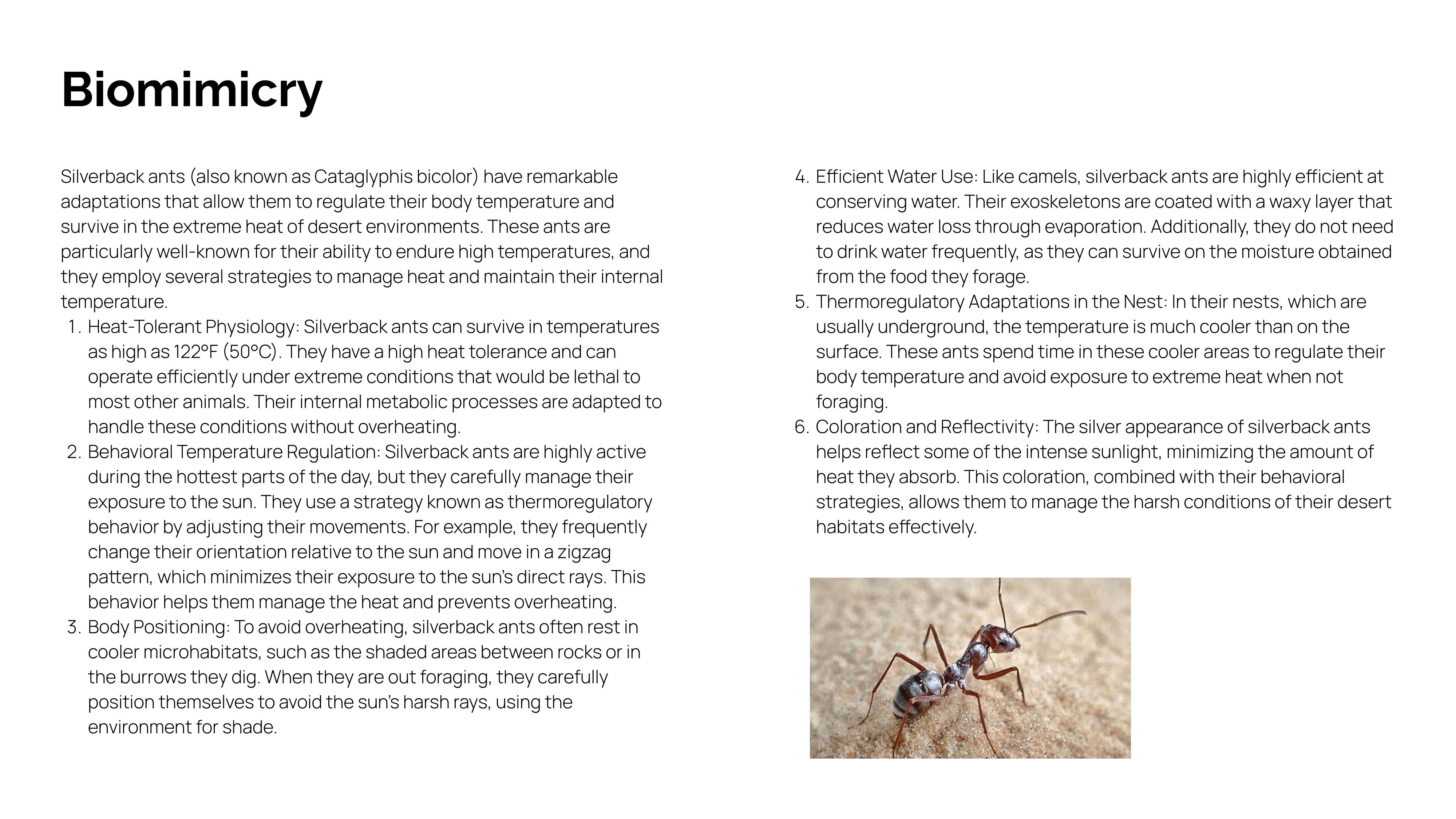 Project Image 3